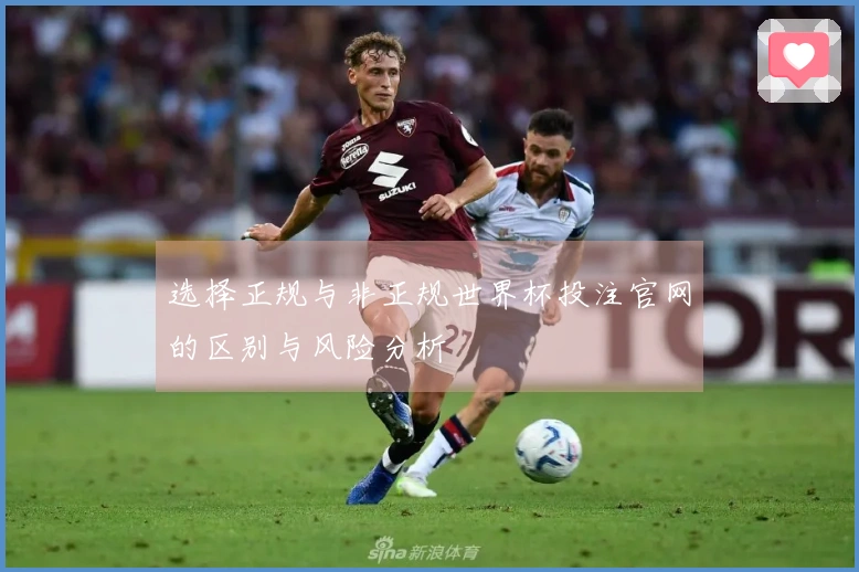 选择正规与非正规世界杯投注官网的区别与风险分析