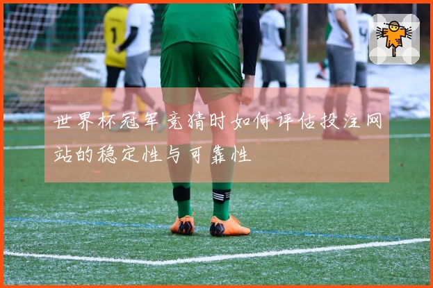 世界杯冠军竞猜时如何评估投注网站的稳定性与可靠性