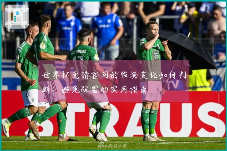 世界杯竞猜官网的临场变化如何判断,避免踩雷的实用指南