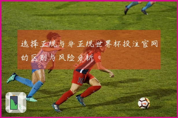 选择正规与非正规世界杯投注官网的区别与风险分析