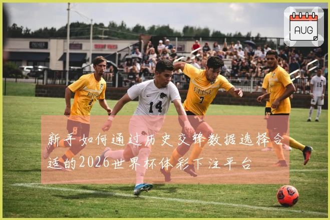 新手如何通过历史交锋数据选择合适的2026世界杯体彩下注平台